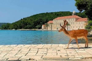 Makarska: Korcula, Ilha dos Cervos e passeio de lancha em naufrágio