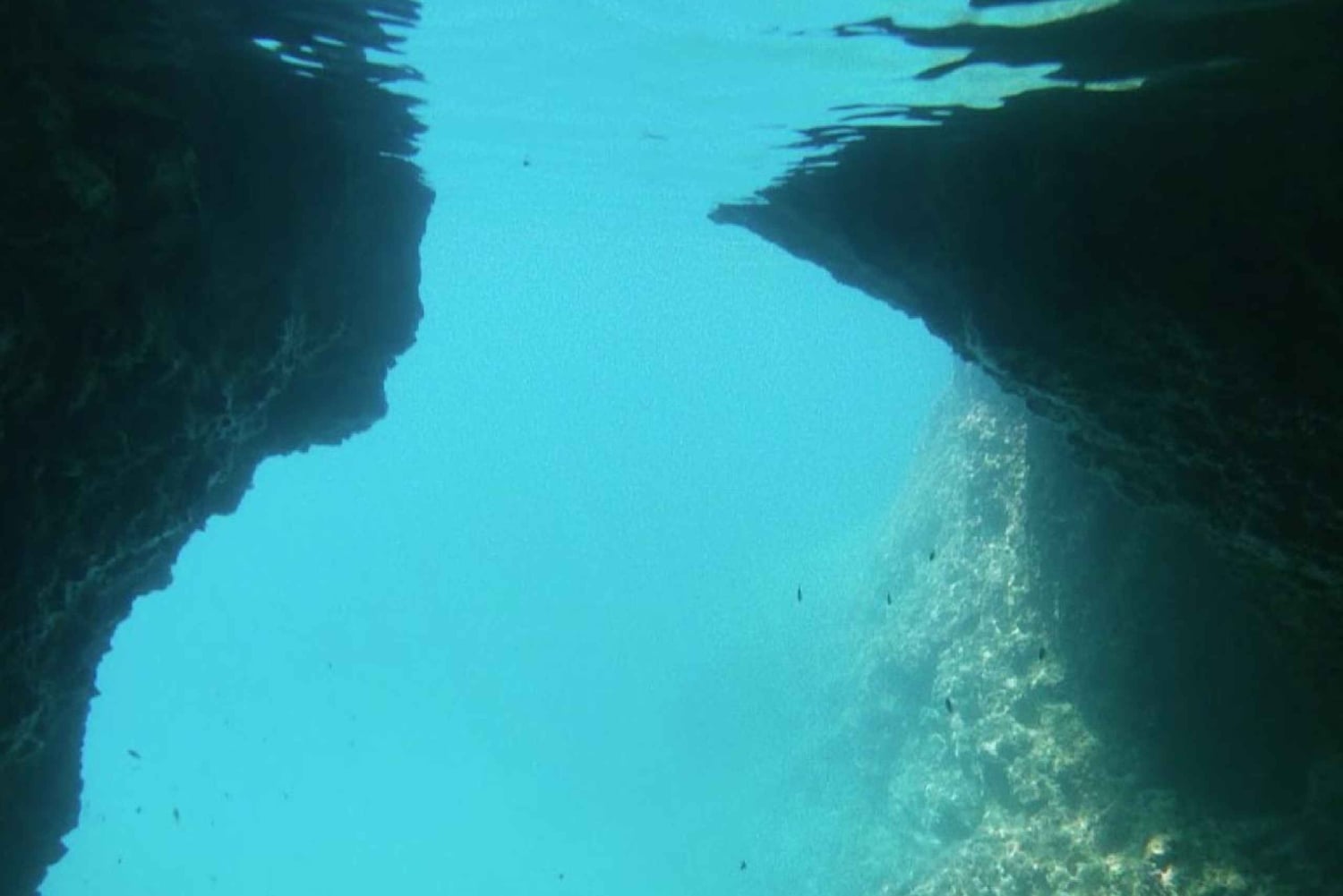 Makarska: Private Halbtagestour mit dem Boot zur Insel Hvar