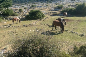 Makarska : Quad Tour on Biokovo with Skywalk Entry