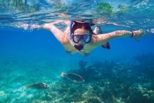 Makarska: Aventura en kayak de mar y snorkel