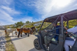Makarska: Baggy Skywalk & Biokovo Viewpoint Tour
