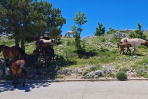 Makarska: Baggy Skywalk & Biokovo Viewpoint Tour