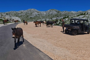 Makarska: Baggy Skywalk & Biokovo Viewpoint Tour