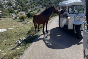 Makarska: Skywalk Tuk-Tuk-kierros Skip-the-Line-lippujen kanssa.