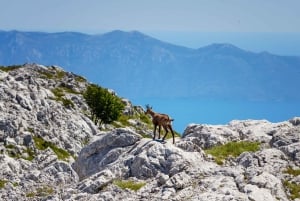 Makarska: Skywalk Tuk-Tuk-kierros Skip-the-Line-lippujen kanssa.