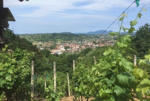 Marija Bistrica: Biciclette elettriche per le cantine della città di Zlatar