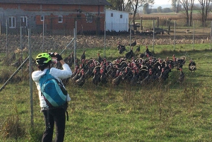 Marija Bistrica: Biciclette elettriche per le cantine della città di Zlatar