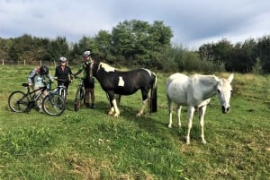 Marija Bistrica: Geschichte und traditionelles Handwerk mit dem E-Bike