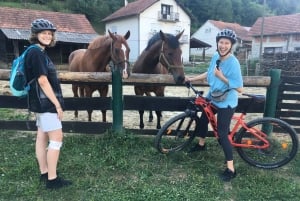 Marija Bistrica: Geschichte und traditionelles Handwerk mit dem E-Bike