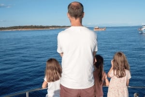 Medulin : excursion au coucher du soleil avec dauphins (85 % de chance), boissons et dîner