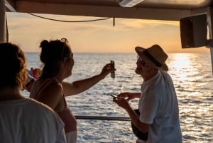 Medulin : excursion au coucher du soleil avec dauphins (85 % de chance), boissons et dîner