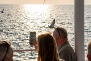 Medulin : excursion au coucher du soleil avec dauphins (85 % de chance), boissons et dîner