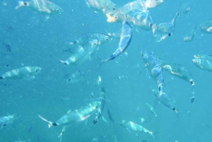 From Medulin: Full-Day Boat Tour of the Archipelago w/ Lunch