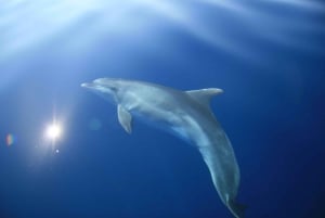 Medulin: tour en barco de 1 día a Kamenjak y Levan con almuerzo