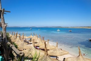 Medulin: tour en barco de 1 día a Kamenjak y Levan con almuerzo
