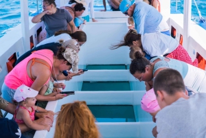 Medulin: Glasbådtur til Kamenjak