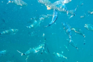 Medulin: tour en barco de cristal a Kamenjak