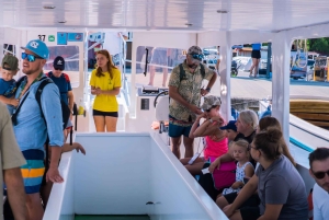Medulin: tour en barco de cristal a Kamenjak