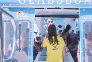 Medulin: tour en barco de cristal a Kamenjak