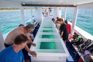 Medulin: Tour privato in barca con fondo di vetro verso l'isola di Levan