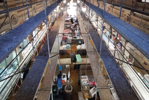 Mød Rijekas historie med en lokal