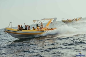 Excursión al Parque Nacional de Mljet - Experiencia en bicicleta, barco y playa
