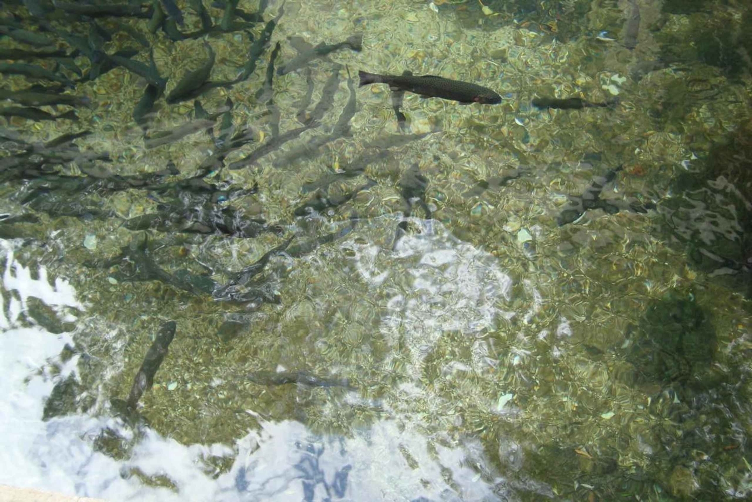 Montenegro & Bosnien 2 Länder in 1 Tag Tour ab Dubrovnik