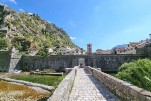 Montenegro & Bosnia combo day trip