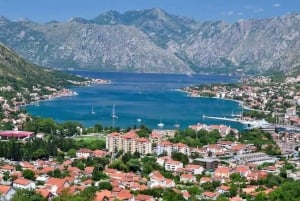 Från Cavtat: Dagstur till Montenegro