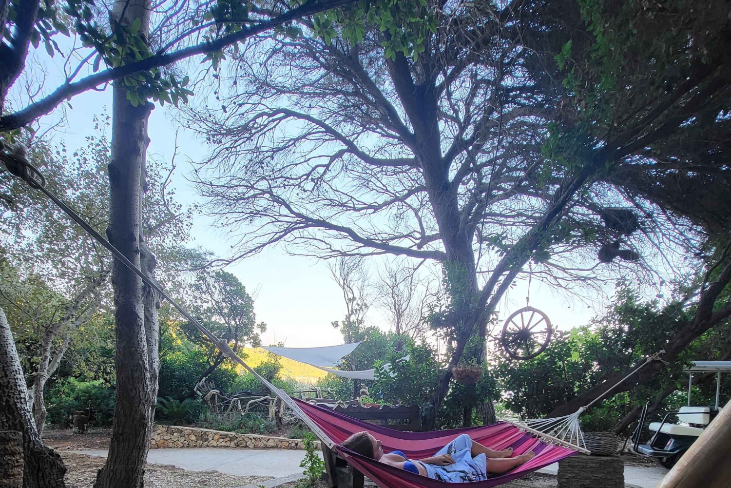 Morning or Afternoon Blue Escape