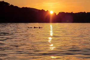 Morning or Afternoon Blue Escape