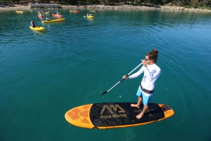 Morning Stand Up Paddling Tour in Split