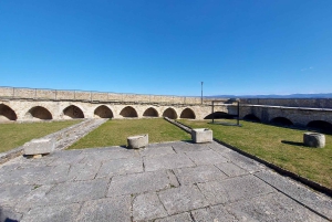 Motovun: piesza wycieczka szlakiem Giants i degustacja Fritule