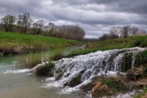 Motovun: piesza wycieczka szlakiem Giants i degustacja Fritule