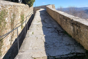 Motovun: piesza wycieczka szlakiem Giants i degustacja Fritule