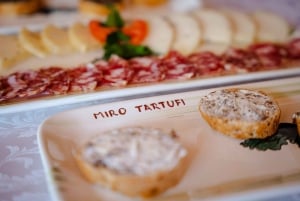 Motovun: polowanie na trufle i 3-daniowy brunch z mieszkańcami