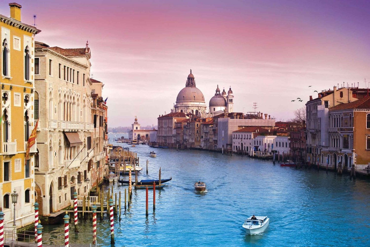 Vanuit Rovinj: boottocht Venetië, dagtocht of enkele reis