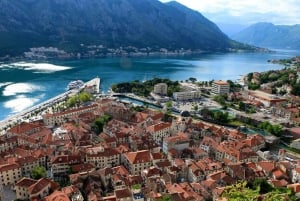 Desde Dubrovnik: Excursión de un día a Montenegro con crucero en barco