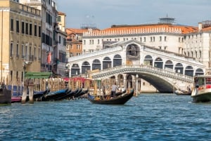 Fra Rovinj: Båttur til Venezia med dags- / enveis-alternativ