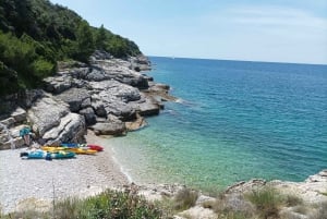 Pula: Blue Cave Kayak Tour with Swimming and Snorkeling