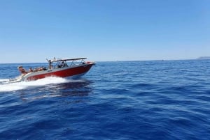 Van Hvar: speedboot naar Vis en Blauwe Grot
