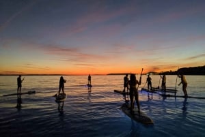 Split : Visite nocturne en Stand Up Paddleboard