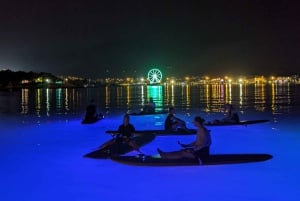 Splitsen: Stand Up Paddleboard Nacht Glow Tour