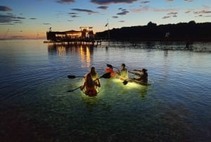 Pula: Excursión Nocturna en Kayak con Fondo Transparente Iluminado por la Cueva Azul
