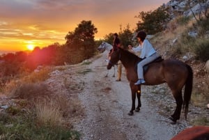 Podstrana: Esperienza di equitazione guidata