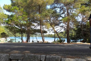 National Park Mljet Island Day Trip from Dubrovnik