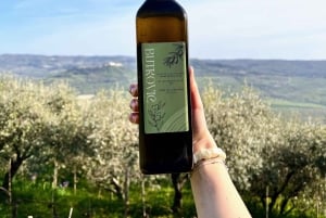 Northern Istria: Olive Oil Tasting with scenic landscape