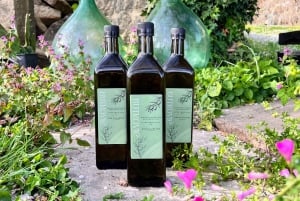 Northern Istria: Olive Oil Tasting with scenic landscape