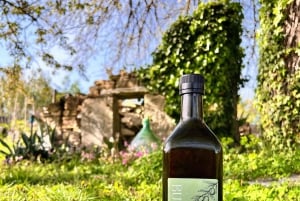 Northern Istria: Olive Oil Tasting with scenic landscape