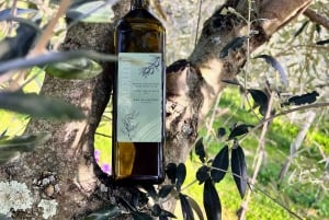 Northern Istria: Olive Oil Tasting with scenic landscape